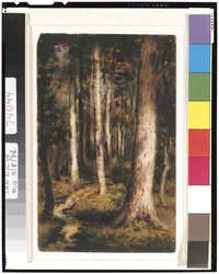 Skovscene, 1901-15